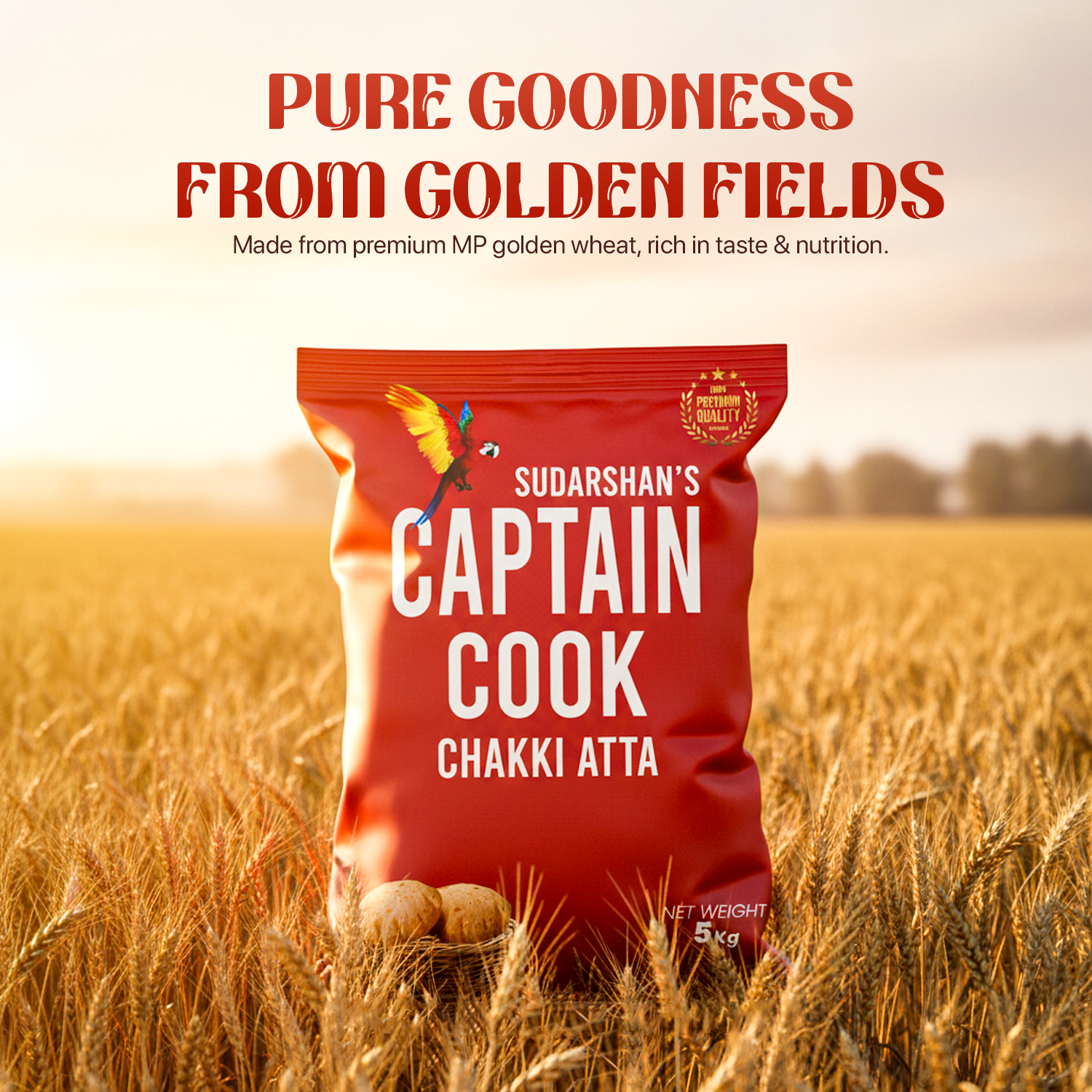 Captain Cook — ATTA