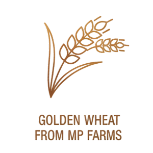 Wheat grain selection